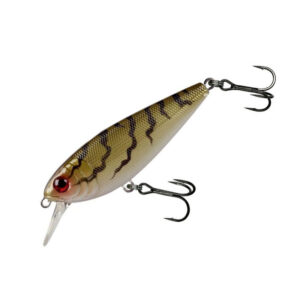 Jerkbait  Molix Brugas  8 cm / 20 grs.
